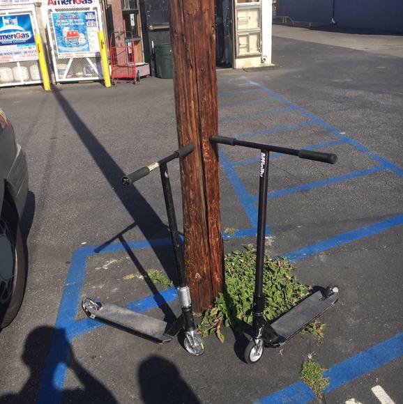 Meet your Posher, Luke - Picture 1 of 1